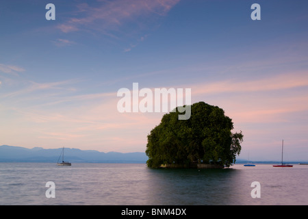 Rouleau de rôle Suisse canton Vaud lac de Genève island isle daybreak arbres bateaux Banque D'Images