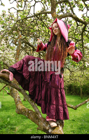 Pink Fairy dans verger UK Somerset Glastonbury Banque D'Images