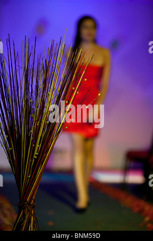 Catwalk Fashion show- Banque D'Images