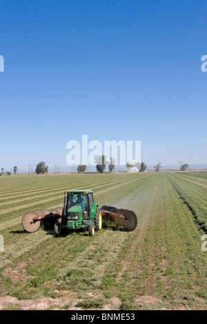 La Vallée impériale est verte et riche en production de foin de luzerne Banque D'Images