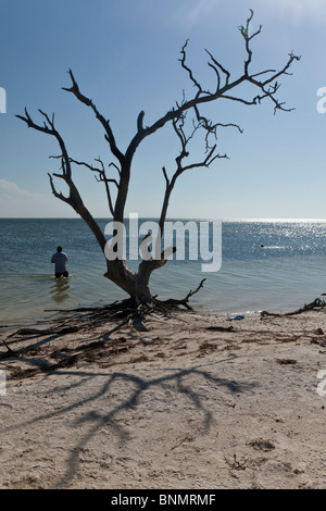 Isla Holbox, Quintana Roo, Mexique Banque D'Images