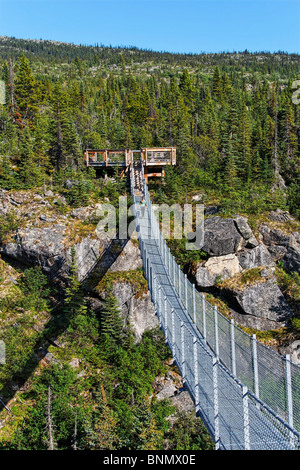 Arrondissement de première classe Alaska Skagway Northern British Columbia Canada rapids blancs de l'eau Rivière Tutshi le sud-est de l'Alaska Banque D'Images