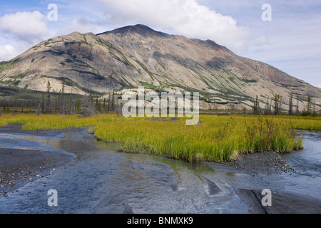 La vallée pittoresque de la rivière Slims et Sheep Mountain, parc national Kluane, Yukon, Canada. Banque D'Images