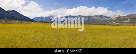 La pittoresque Vallée de la rivière Slims, Réserve de parc national Kluane, Yukon, Canada. Banque D'Images