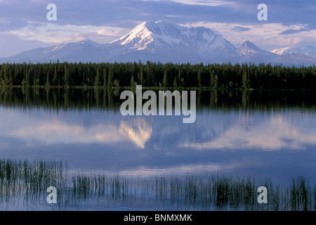 Mt sur tambour Willow Lake Wrangell-St Elias NP SC AK de l'été Banque D'Images