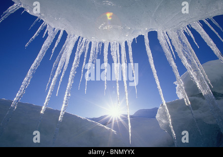 Glaçons pendant de Iceberg sur Spencer Lake KP Alaska Banque D'Images