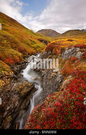 Petit cours d'eau jusqu'à l'automne dans la toundra couleur Hatcher Pass, Alaska Banque D'Images