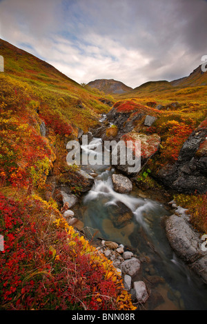 Petit cours d'eau jusqu'à l'automne dans la toundra couleur Hatcher Pass, Alaska Banque D'Images