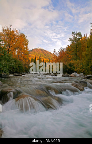 La rivière Susitna peu au début de la route du col de l'Alaska, l'éclosoir, automne Banque D'Images