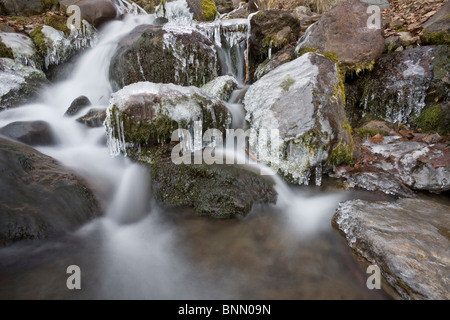 Les glaçons pendent à des roches couvertes de mousses à Falls Creek en Alaska pendant l'hiver Banque D'Images