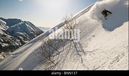 Un skieur d'arrière-pays prend un tour en poudreuse Hatcher Pass, Alaska Banque D'Images