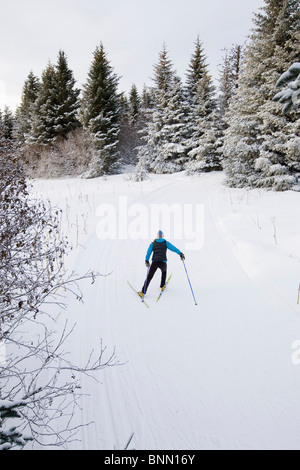 Femme ski nordique sur les pistes de ski en hiver Baycrest près de Homer, Kenai Peninsula, Alaska Banque D'Images