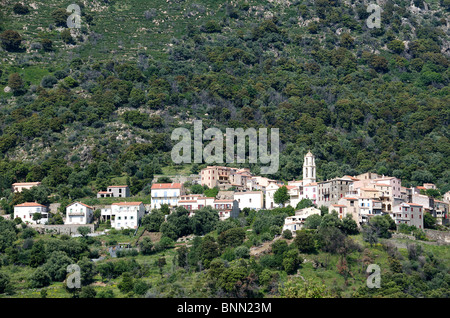 Village de Balagne, Zilia, Corse, France Banque D'Images