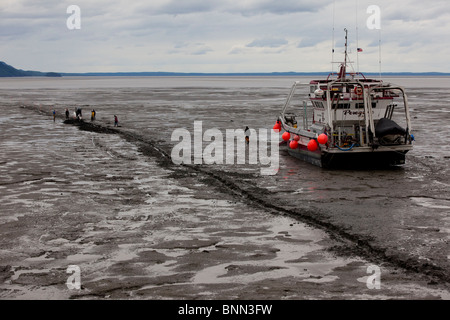 Un groupe d'hommes beach leur bateau sur la marée appartements de Turnagain Arm à poser des câbles pour le GCI, Alaska Banque D'Images