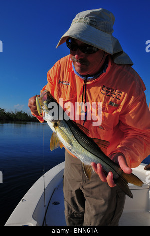 Un pêcheur montre un snook pris sur un bouchon dans l'Intracoastal Waterway. Banque D'Images