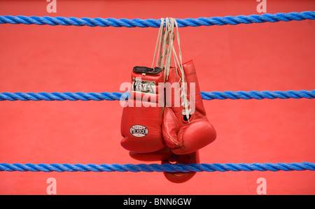 Gants de boxe rouge accrocher sur les cordes d'un ring de boxe. Photo par James Boardman Banque D'Images