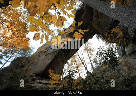 Grays Arch Daniel Boone National Forest La Red River Gorge Kentucky USA zone géologique Banque D'Images