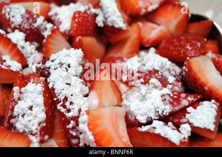 Close up de fraises avec du sucre en poudre. Photographie Macro a faible profondeur de champ. Banque D'Images