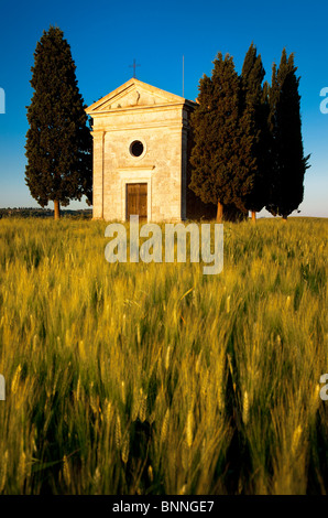 La lumière du soleil du soir sur le champ de blé et Cappella di Vitaleta près de San Quirico d'Orcia, Toscane Italie Banque D'Images