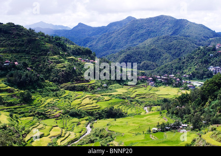 Les terrasses de riz de Banaue Aux Philippines, en Asie. Banque D'Images