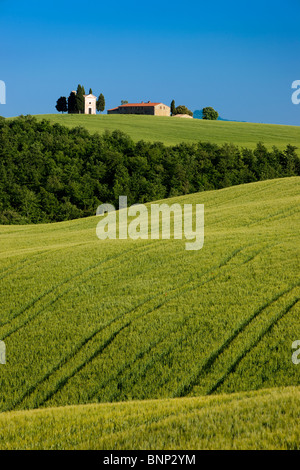 Cappella di Vitaleta et les champs vallonnés de la Toscane, près de San Quirico d'Orcia, Italie Banque D'Images