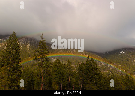 Rainbow apparaît sur les arbres comme douche pluie passe par l'extrémité nord du lac Tahoe, Nevada, USA. Banque D'Images