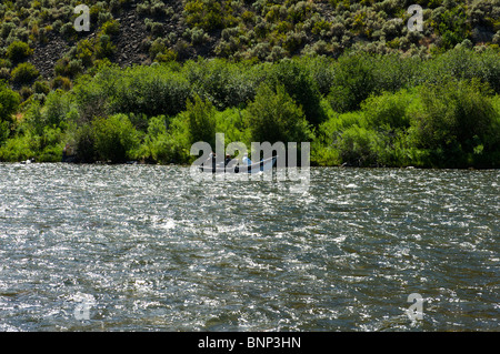 Pêche à la mouche guidées à partir d'un bateau flottant, Madison River, Montana Banque D'Images