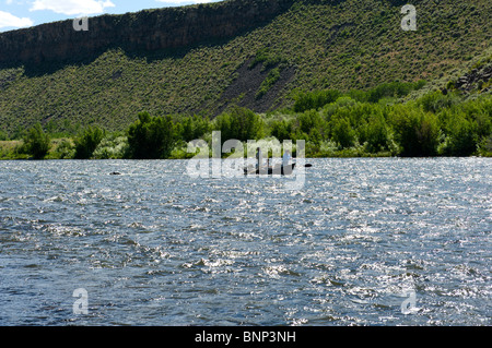 Pêche à la mouche guidées à partir d'un bateau flottant, Madison River, Montana Banque D'Images