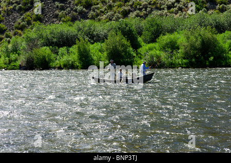 Pêche à la mouche guidées à partir d'un bateau flottant, Madison River, Montana Banque D'Images