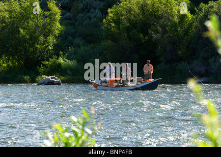 Pêche à la mouche guidées à partir d'un bateau flottant, Madison River, Montana Banque D'Images