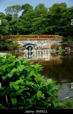 Le Musée Morikami et les jardins japonais est un centre d'arts japonais à Palm Beach County Florica. Banque D'Images
