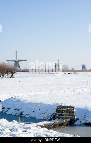 Moulin à vent de Kinderdijk en Hollande pendant l'hiver Banque D'Images