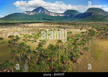 La Gran Sabana savane ou grand se trouve sur un plateau parsemé d'énormes montagnes de table appelé Tepuis Venezuela Amérique du Sud Banque D'Images