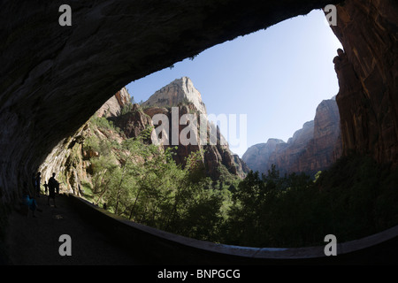 Zion Canyon National Park, Utah, USA - falaise de Weeping Rock où les eaux souterraines cascades perpétuellement. Avis de : cave fin du sentier. Banque D'Images