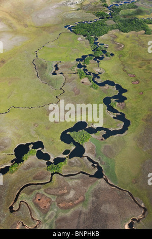 Vue aérienne de méandre de la rivière avec des lacs en croissant Gran Sabana savane ou Grand Parc national Canaima Venezuela Amérique du Sud Banque D'Images