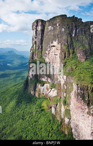 Tepuis sont plats en tête des montagnes de grès avec flancs verticaux passant dans l'altitude de 3000 mètres au-dessus de la forêt Le Venezuela Banque D'Images