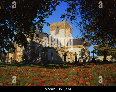 La Cathédrale de St Asaph en automne St Asaph, Denbighshire North Wales UK Banque D'Images