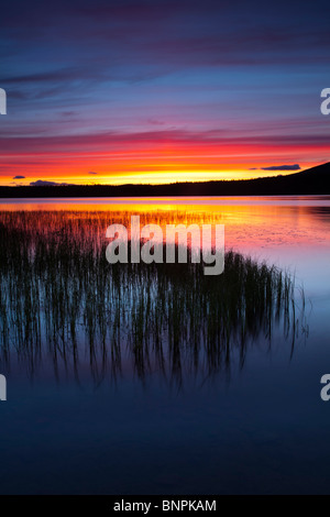 L'Écosse, les Highlands écossais, le Parc National de Cairngorms. Été coucher de soleil sur le Loch Morlich près d'Aviemore. Banque D'Images