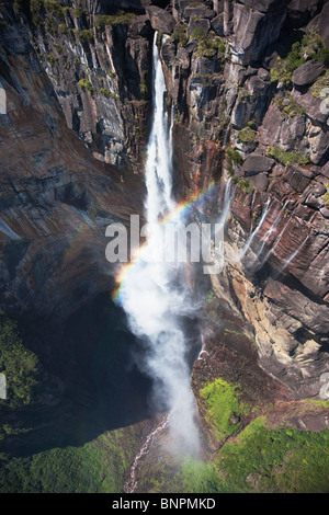 Angel Falls s'effondre près de 979 mètres d'une Tepui. Il est situé sur le dessus de l'Auyantepuy. Le Venezuela Banque D'Images