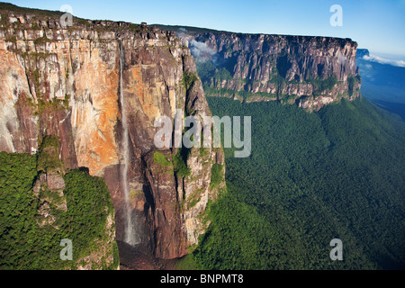 Angel Falls s'effondre près de 979 mètres d'une Tepui. Il est situé sur le dessus de l'Auyantepuy. Le Venezuela Banque D'Images