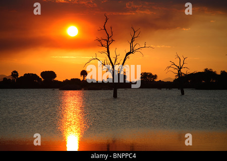 Coucher du soleil au lac Manze, Selous, Tanzanie Banque D'Images