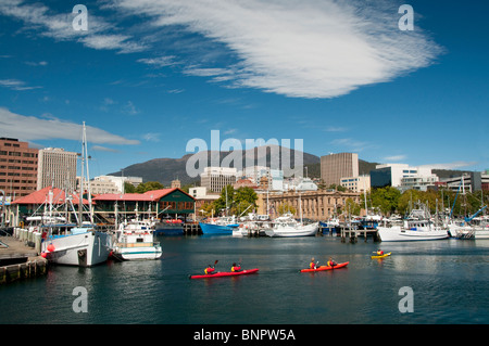 Les kayakistes à Victoria Dock, Hobart, Tasmanie, Australie Banque D'Images