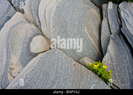 Des pierres à Lighthouse Point, Killbear Provincial Park, Ontario, Canada. Banque D'Images