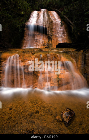 Golden Cascade Falls, Big Basin State Park, Californie, USA Banque D'Images