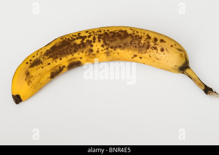 Une banane qui montre des taches brunes et les marques qu'elle commence à mûrir plus Banque D'Images