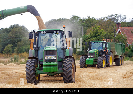 La récolte de céréales, de Bawdsey, Suffolk, Angleterre. Banque D'Images