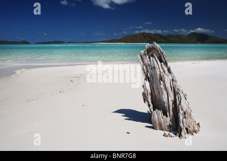 Whitehaven Beach, près de Hayman Island, Grande Barrière de Corail, Queensland, Australie Banque D'Images