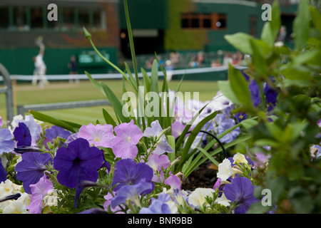 29 juin 2010 : dans le parc. Tournoi international de tennis de Wimbledon qui s'est tenue à l'All England Lawn Tennis Club, Londres, Banque D'Images