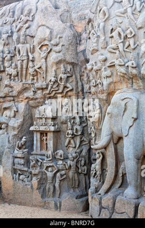 Inde - Tamil Nadu - Mamallapuram - sculptures de la pénitence d'Arjuna Banque D'Images