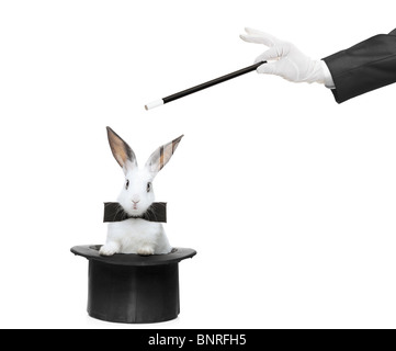 Un lapin dans un chapeau et tenant à la main une baguette magique Banque D'Images